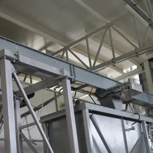 Trough chain conveyor Agralex